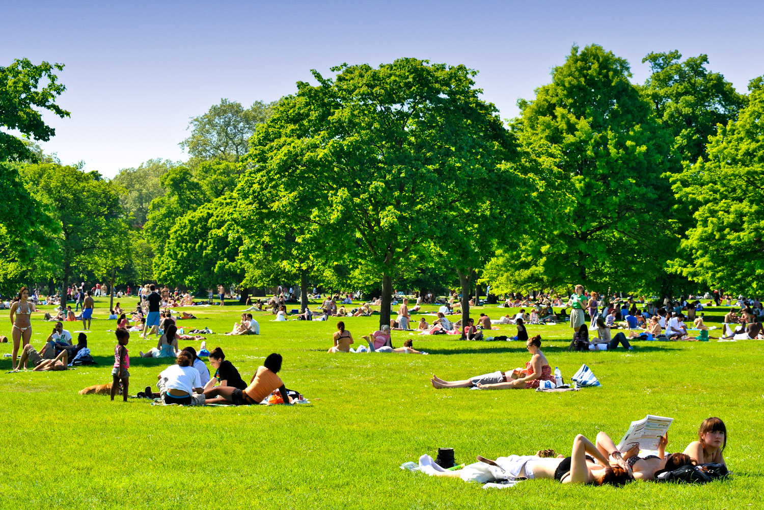 hyde park, london.