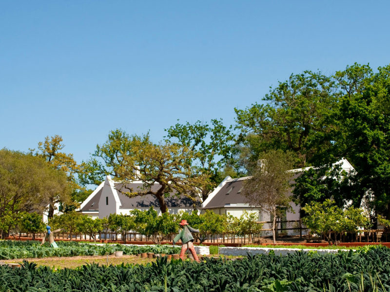 Babylonstoren farm hotel, South Africa.