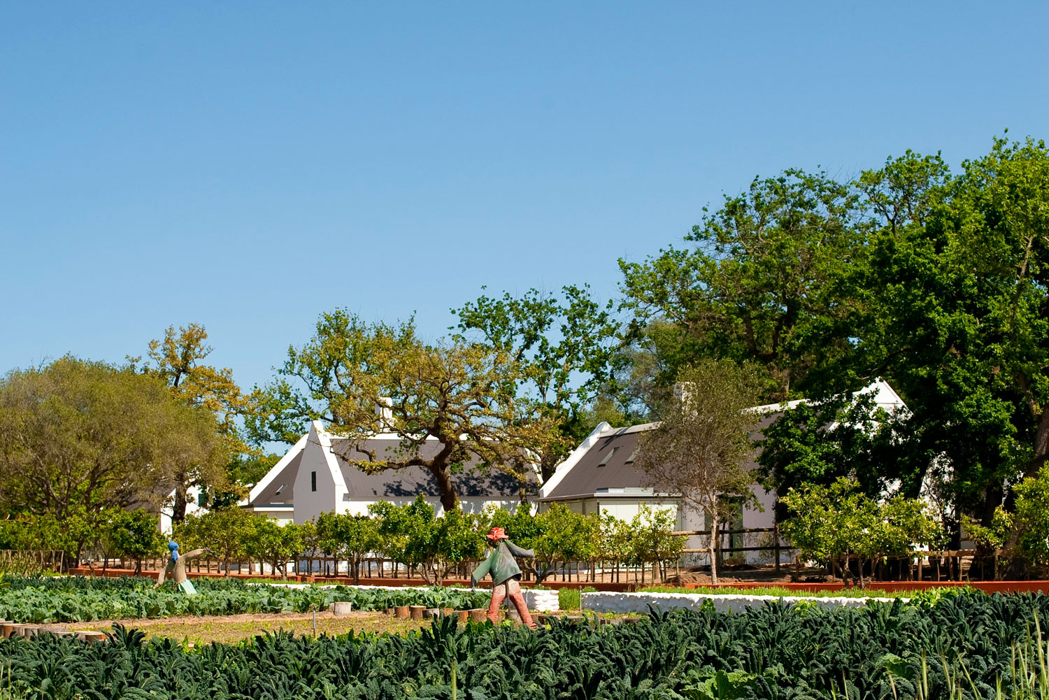 Babylonstoren farm hotel, South Africa.