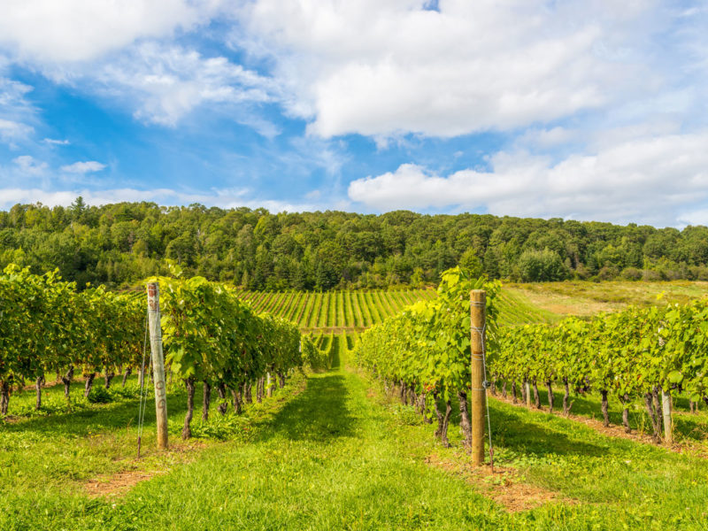 Canadian winery