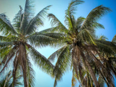 The Gambier Islands, French Polynesia.