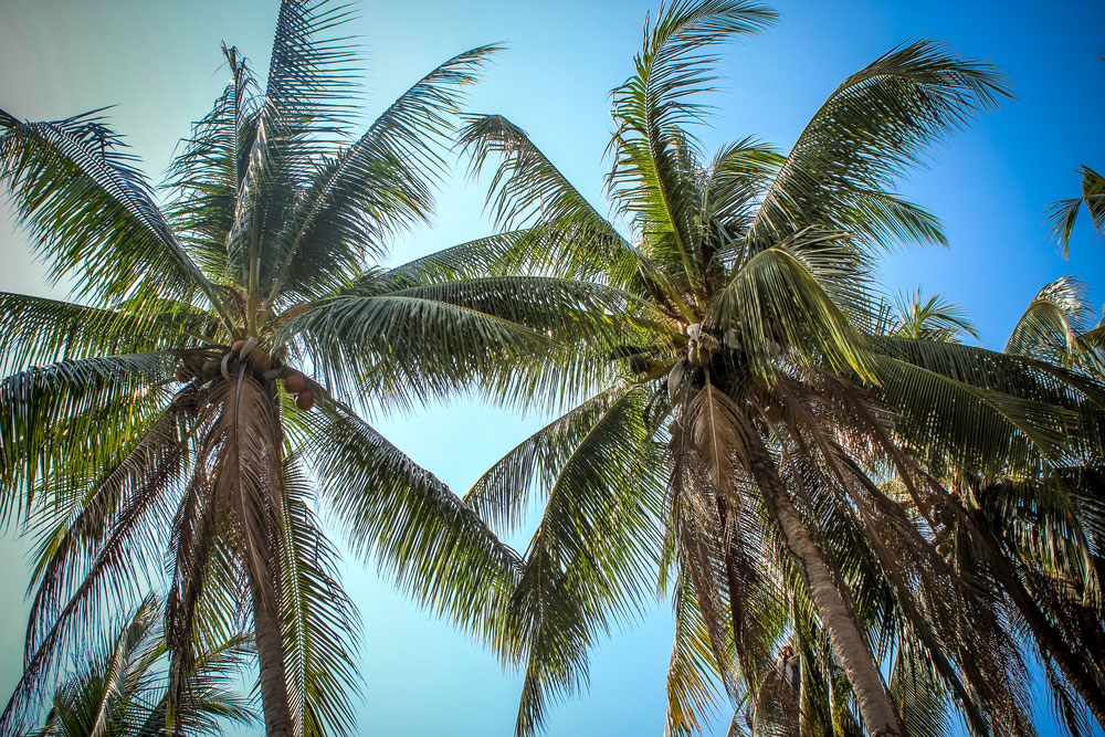 The Gambier Islands, French Polynesia.