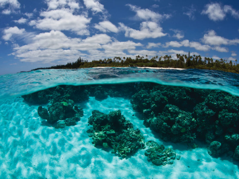 Mare, New Caledonia.