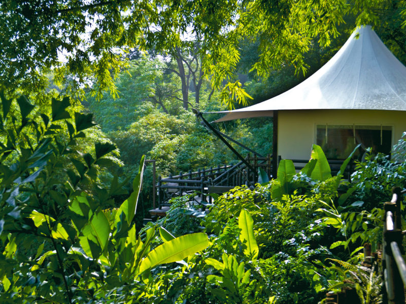 Four Seasons Tented Camp, Golden Triangle, Chiang Rai, Thailand