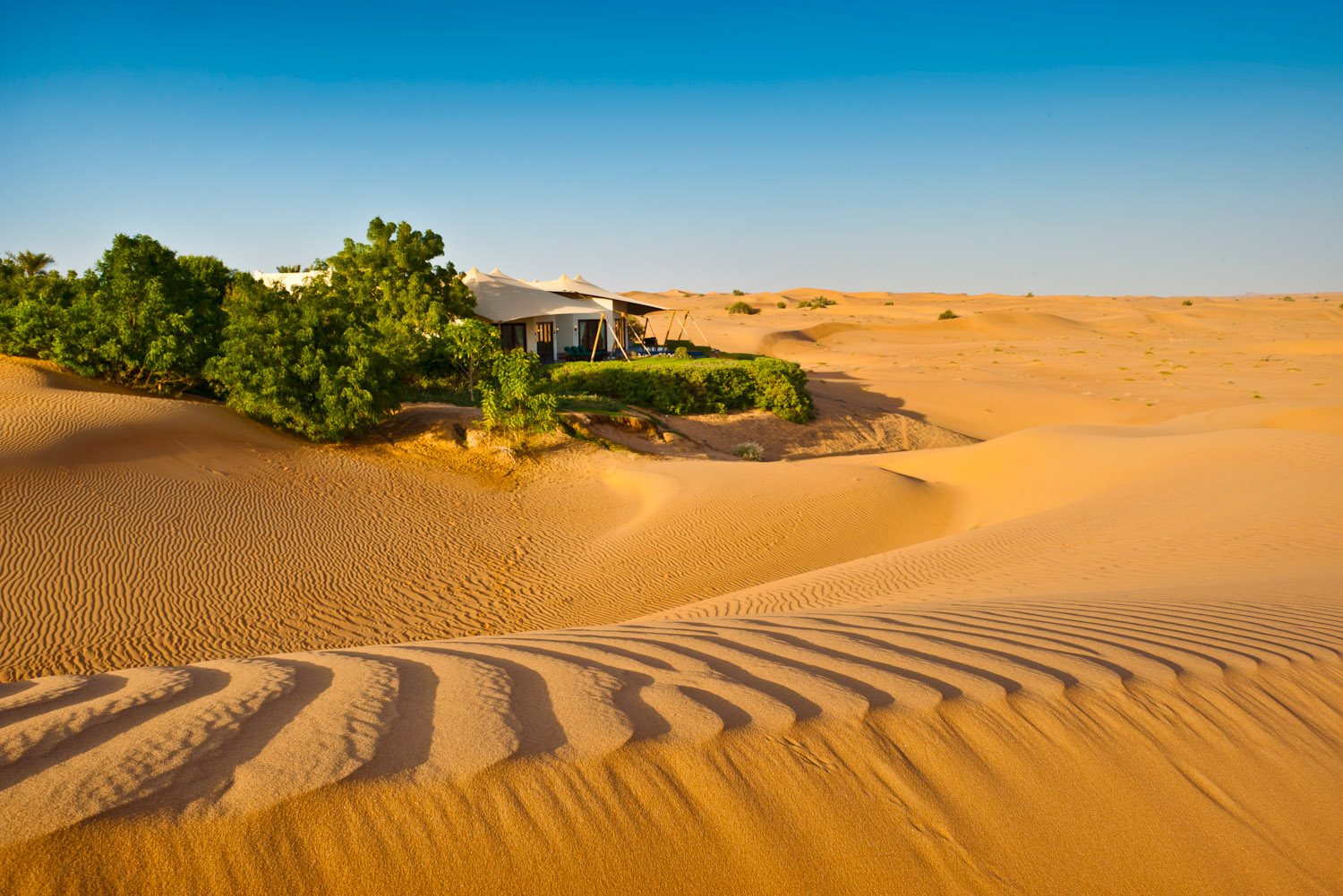 Al Maha Desert Resort, Dubai.