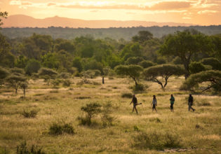 Bush walk through the Sabi Sands Game Reserve, South Africa.