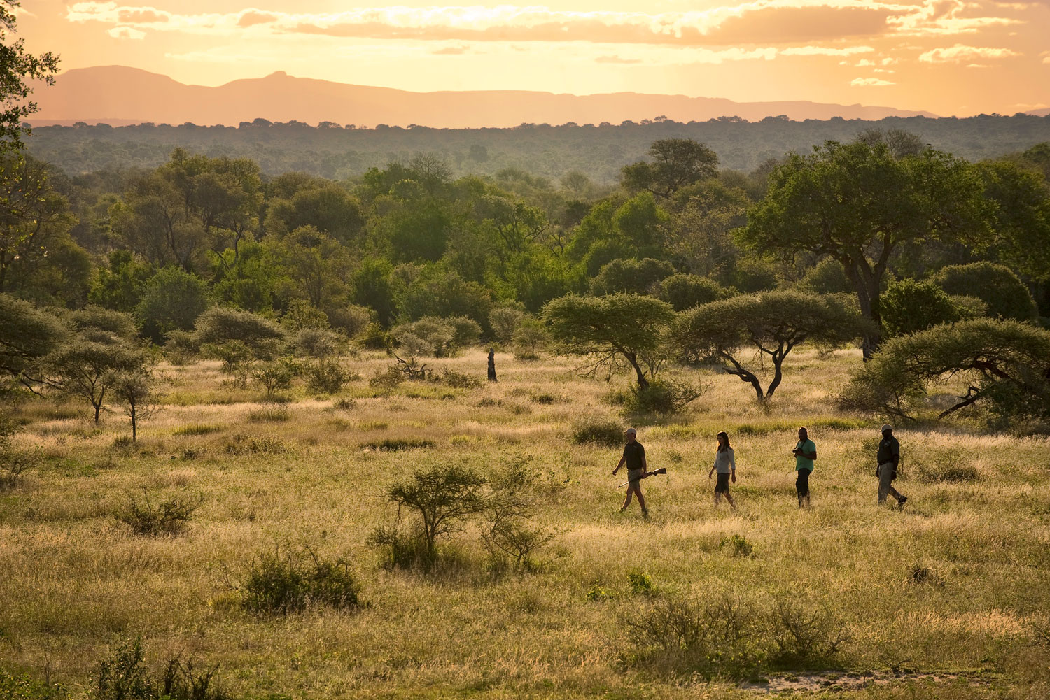 Bush walk through the Sabi Sands Game Reserve, South Africa.