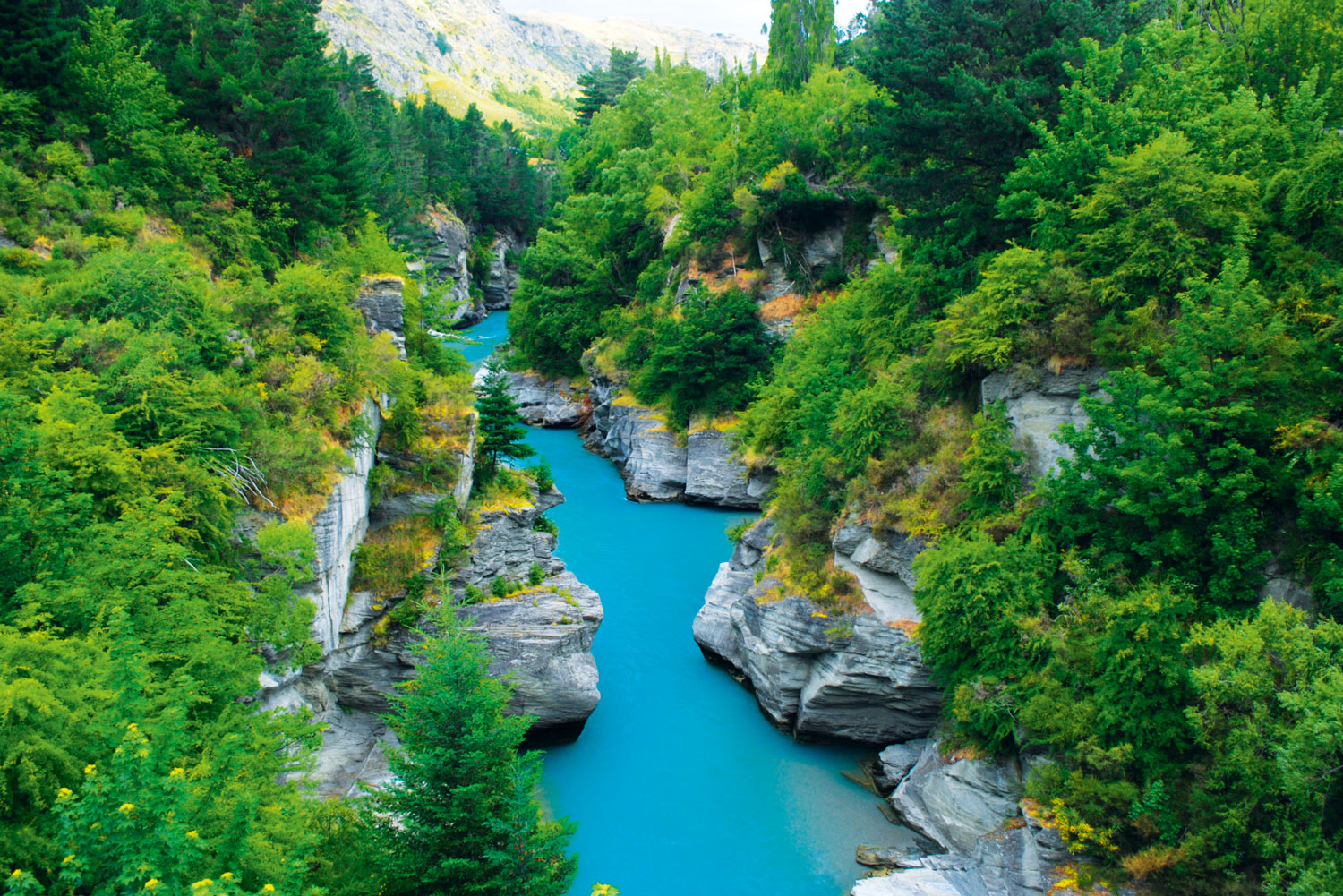 Shotover River near Queenstown, NZ.