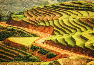 Riding through the farms of Dalat on motorbike.