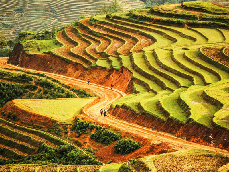 Riding through the farms of Dalat on motorbike.