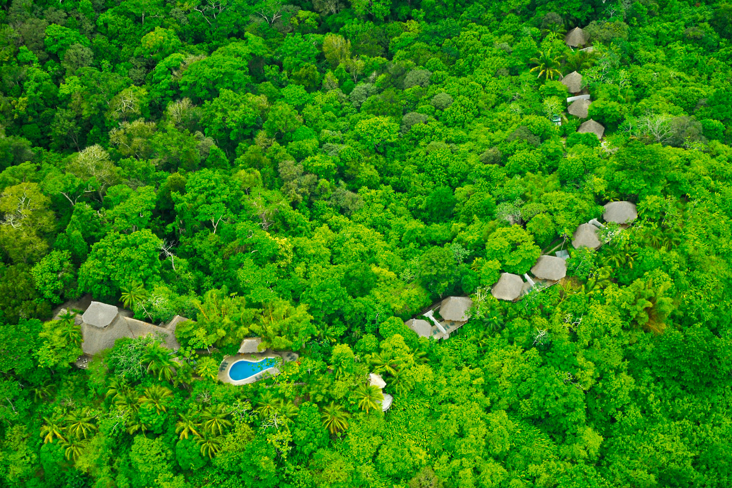 Welcome to the jungle - an aerial of Lapa Rios Ecolodge.