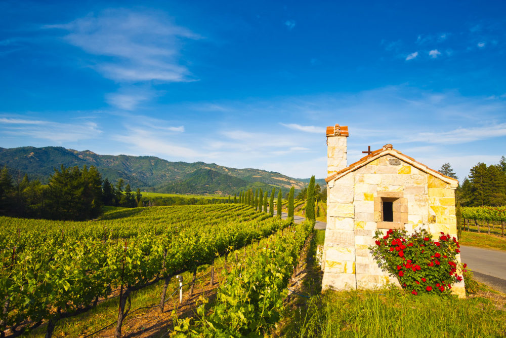 The gourmet's guide to Napa Valley - International Traveller Magazine