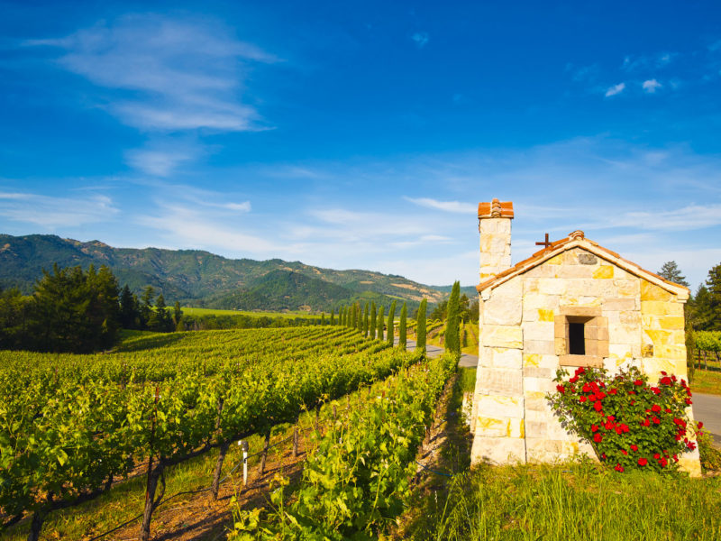 Welcome to California's wine country, Napa Valley.
