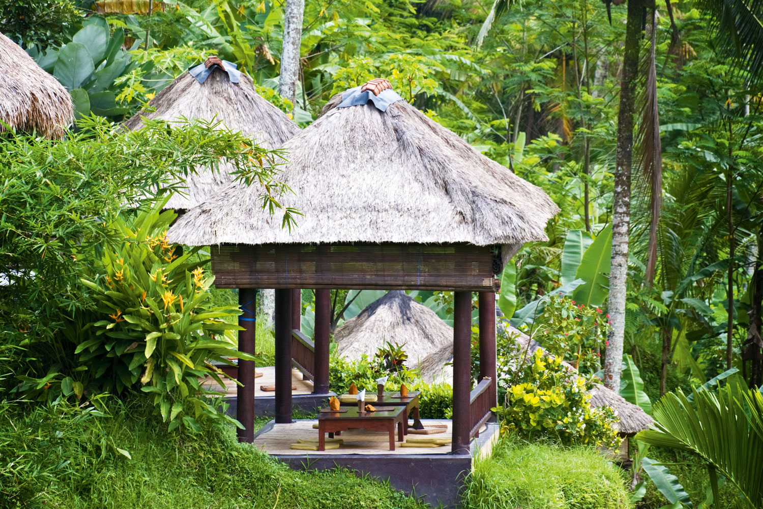 Secluded tropical retreat engulfed in lush gardens