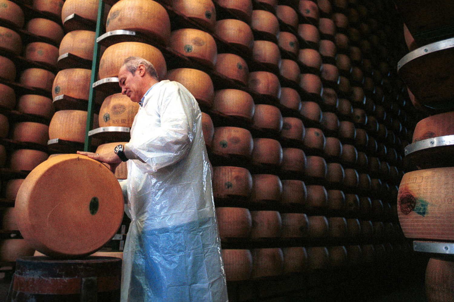 A consortium master checks the progress of the parmesan cheese for ageing in Parma, Italy.