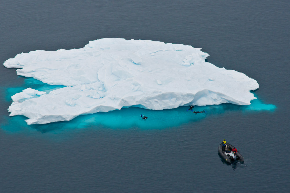 antarcticocean图片