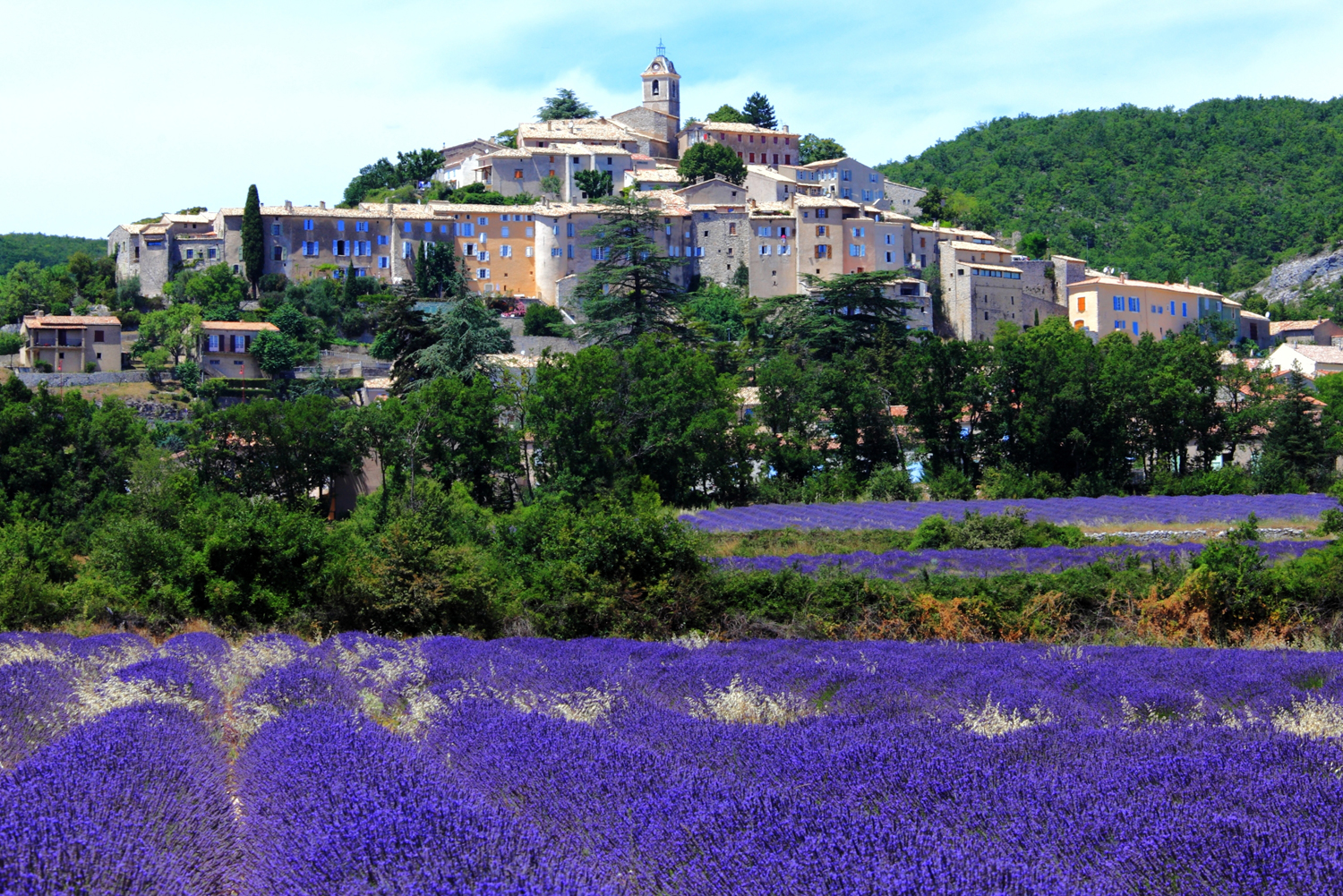 tour provence countryside