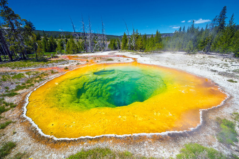 Yellowstone National Park, USA - International Traveller
