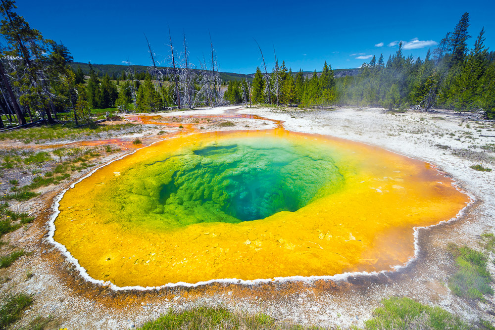 Yellowstone National Park, USA - International Traveller