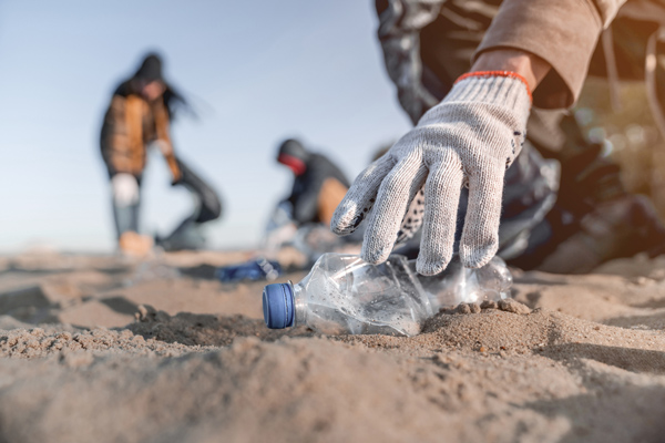 Volunteer to support marine life conservation.