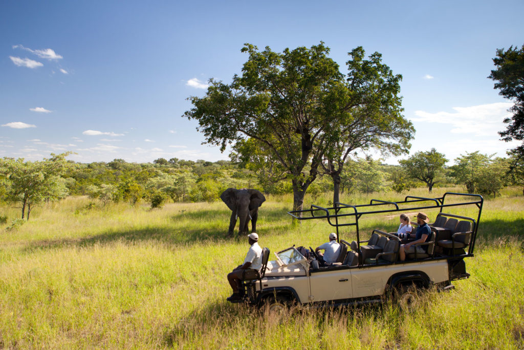 Ulisaba's location next to Kruger National Park makes it an ideal destination for spotting Africa’s famed wildlife.