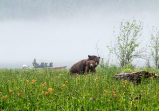 Great Bear Lodge, Canada.