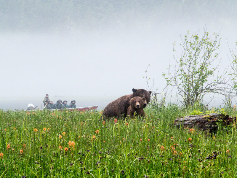 Great Bear Lodge, Canada.