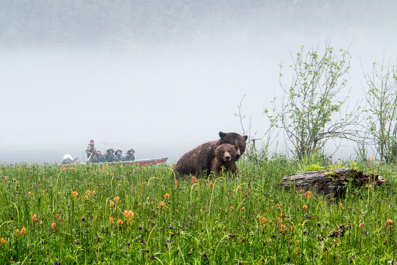 Great Bear Lodge, Canada.