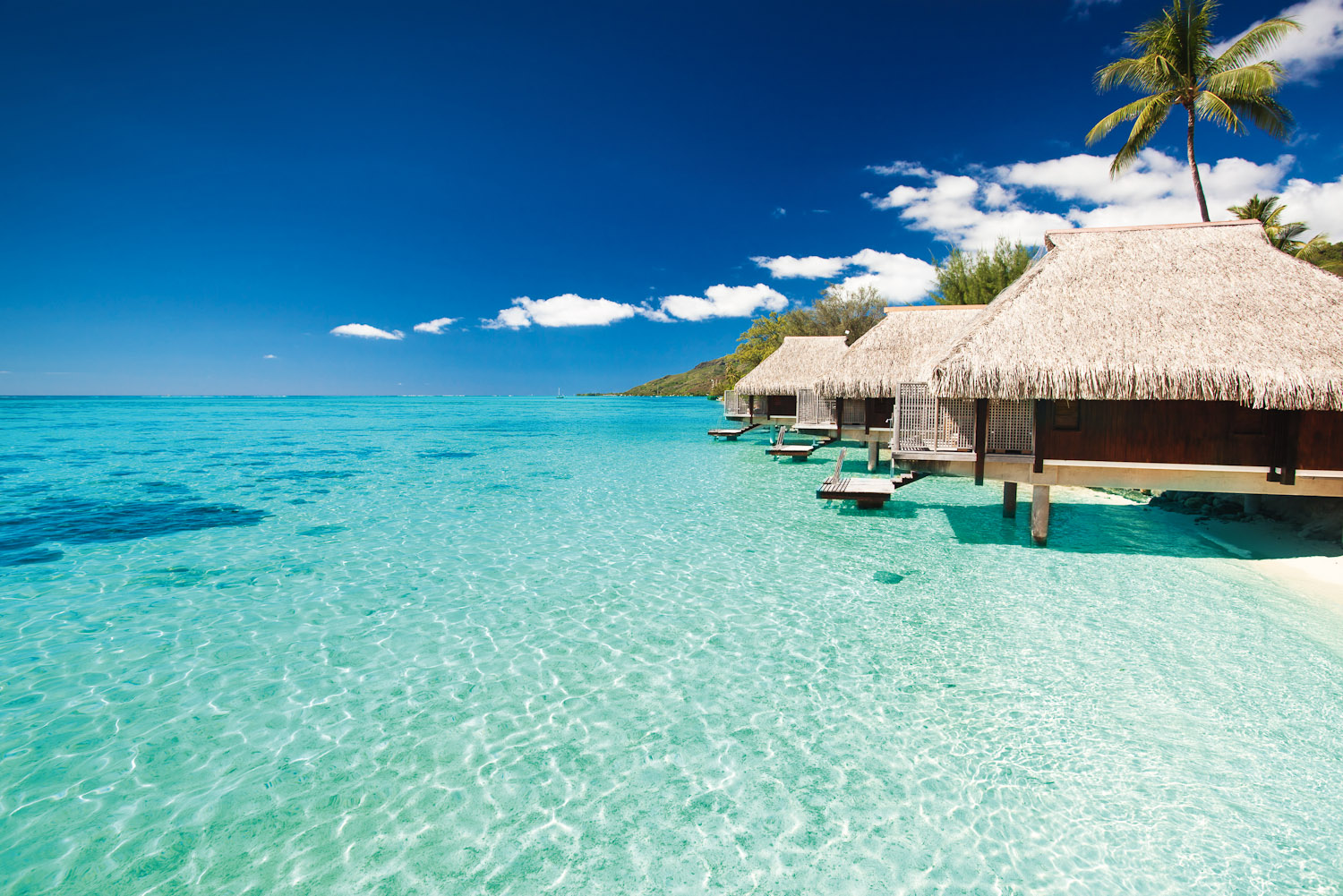 The Maldives was voted the ultimate dream destination in International Traveller's Readers' Choice Awards 2015.
