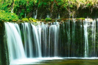 Shiraito Falls in the Shizuoka prefecture, Japan.
