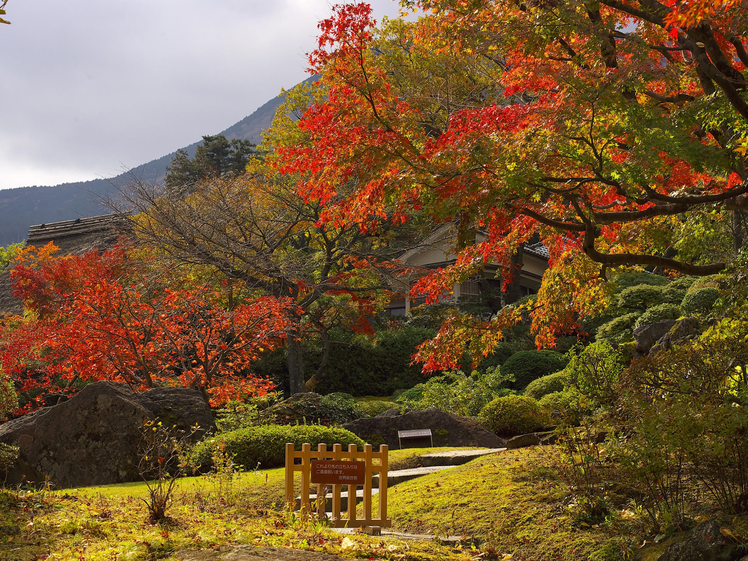 the Garden of Hakone Museum of Art