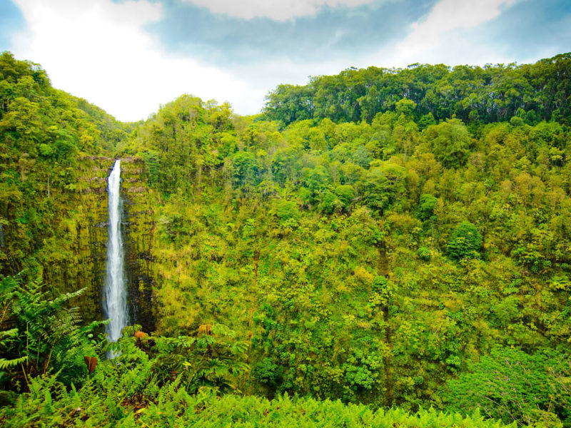 ‘Akaka Falls on the Big Island, Hawai'i.