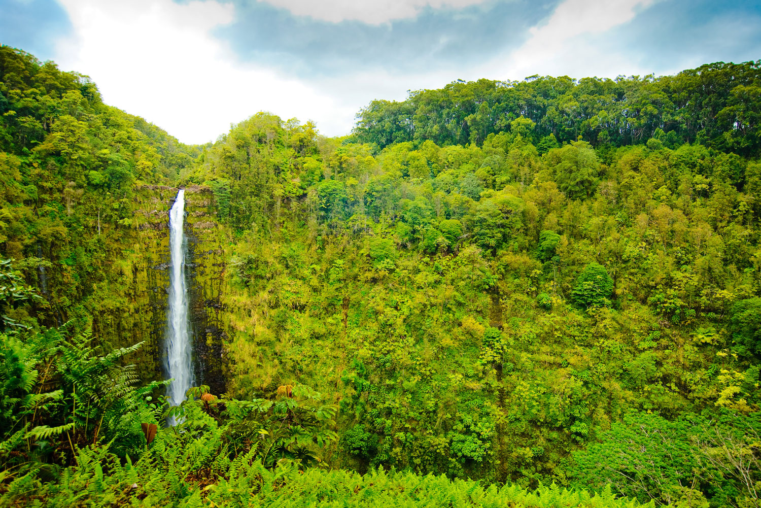 ‘Akaka Falls on the Big Island, Hawai'i.