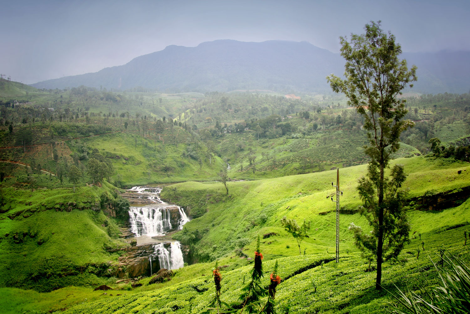 nature photography tours in sri lanka