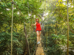 A walk on the wild side at Samoa's Falealupo Rainforest Preserve.