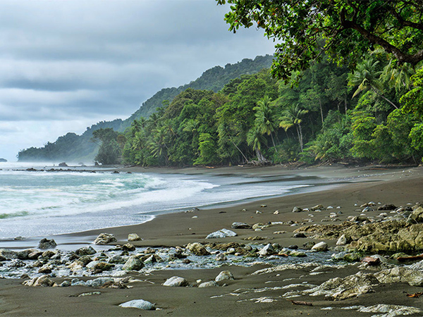 The Top 10 Wildernesses Of Costa Rica