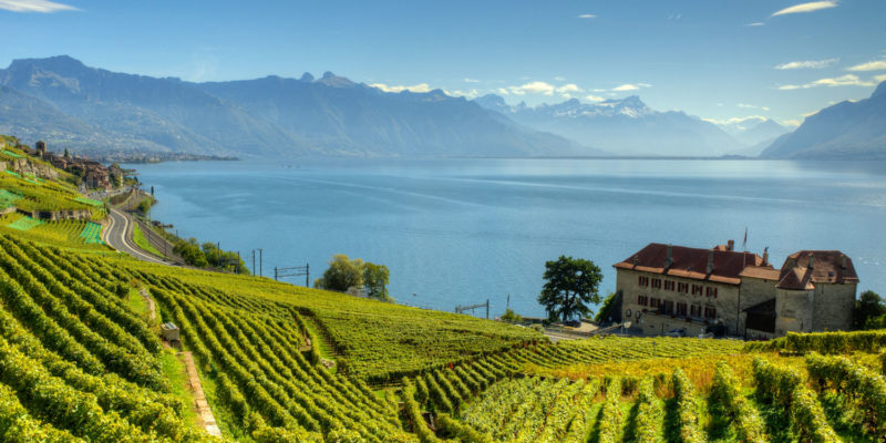 Lavaux Vineyard Terraces in Switzerland.