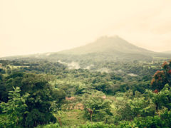 Costa Rican wilderness