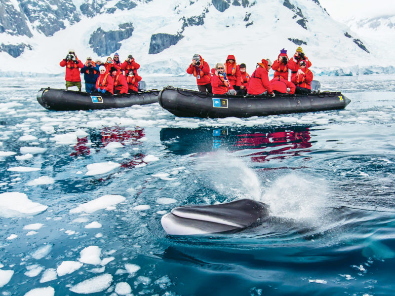 Lindblad Antarctic program.