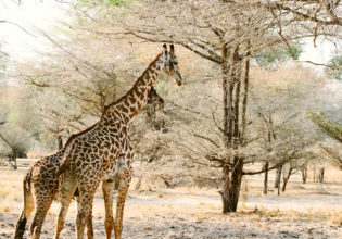 Selous Game Reserve Tanzania wildlife 100 secret gems