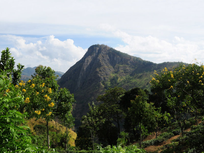 Ella Rock Sri Lanka