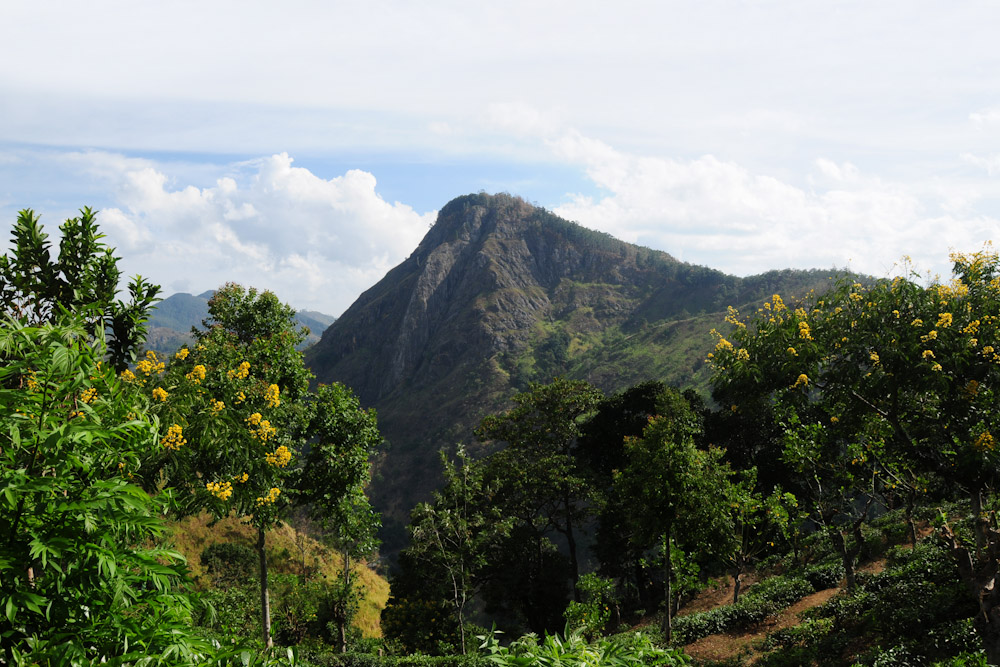 Ella Rock Sri Lanka