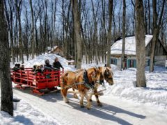 slrighride Quebec Sucrerie de la Montagne sugar shack
