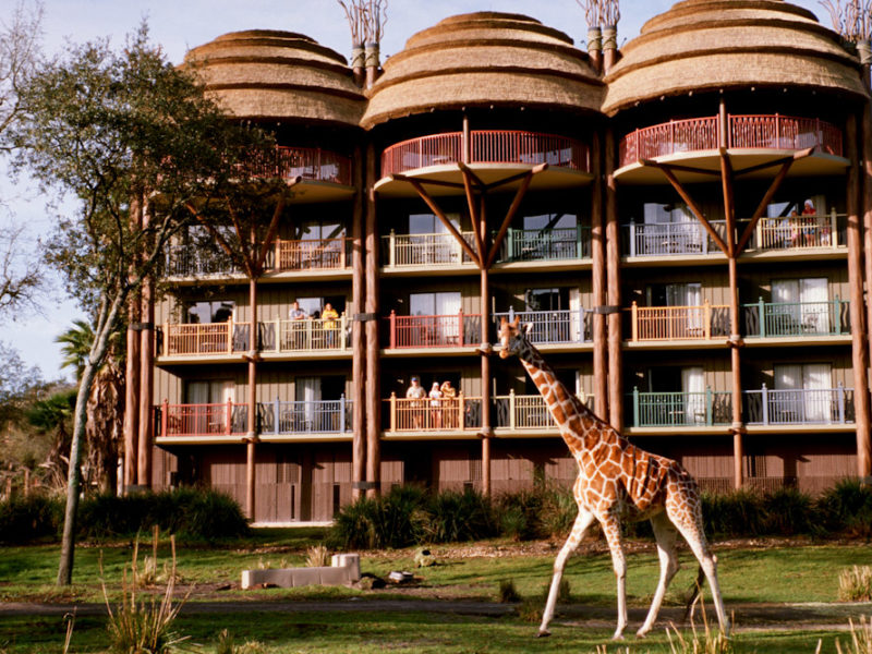 Disney Animal Kingdom Lodge