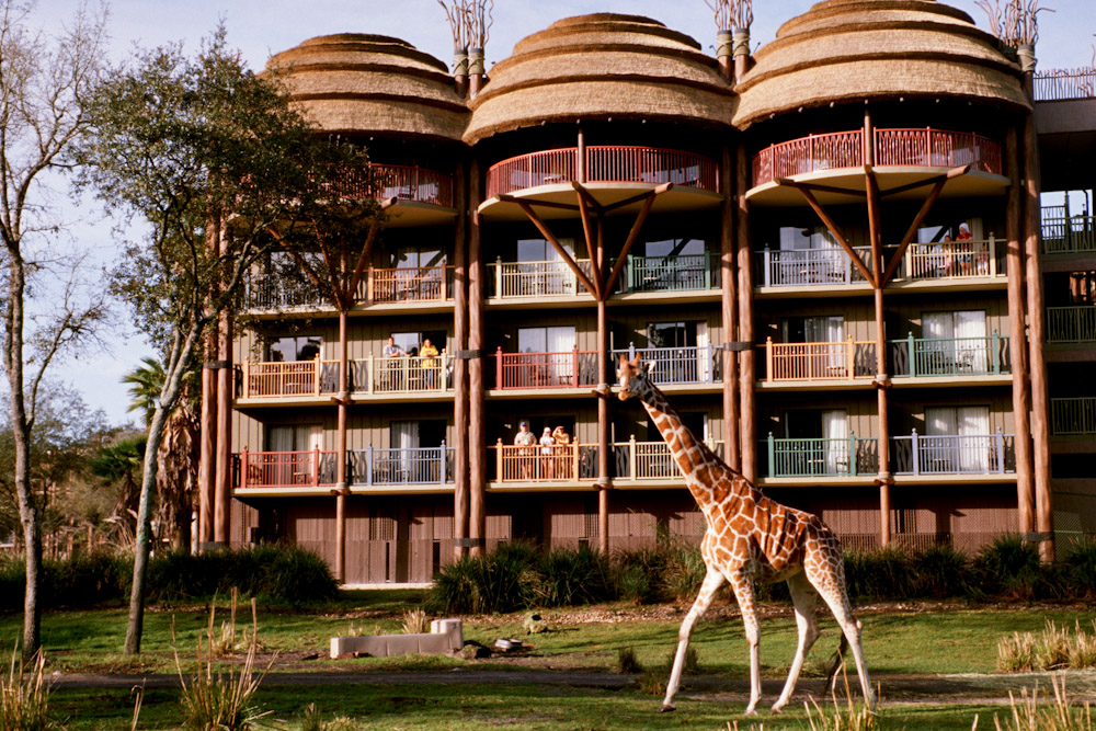 Disney Animal Kingdom Lodge