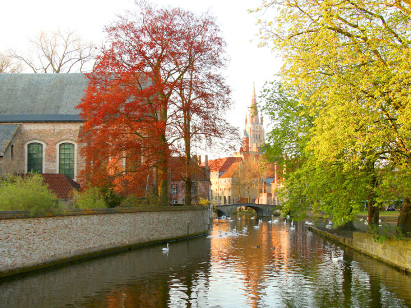 Autumn trees over Bruges Canal