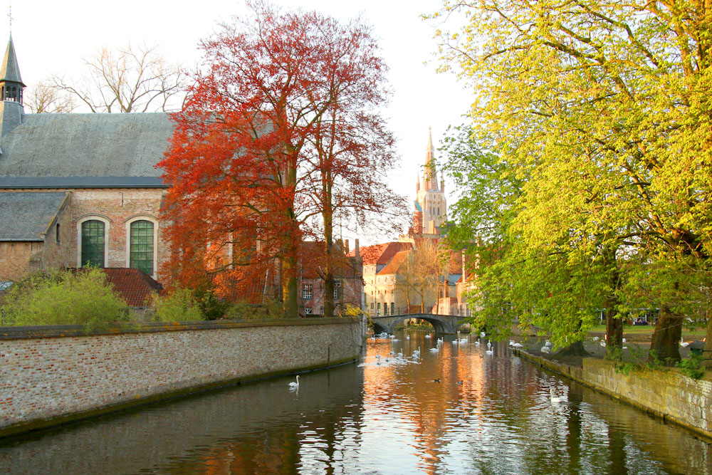Autumn trees over Bruges Canal