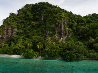 Lush greenery and turquoise water in Fiji