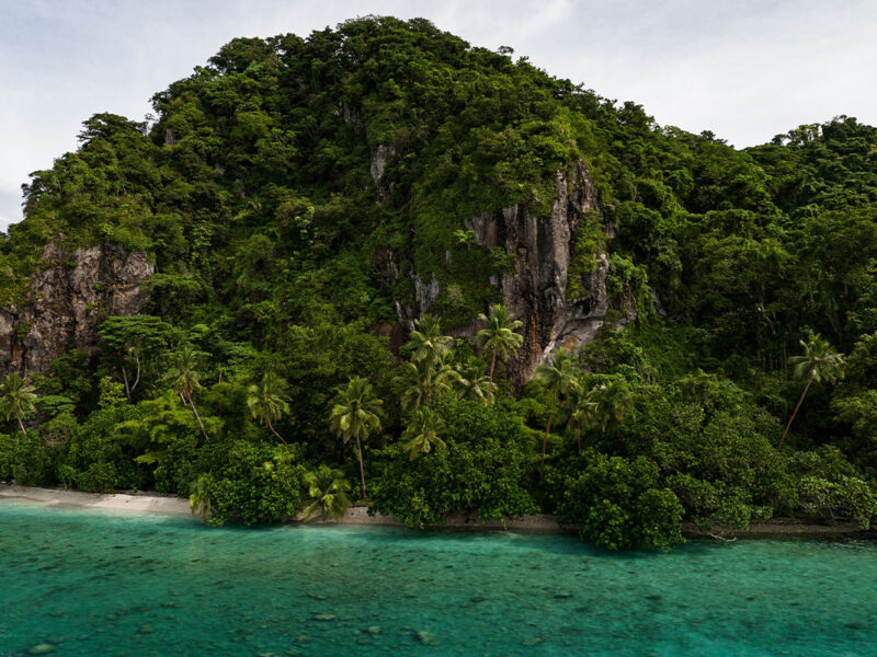 Lush greenery and turquoise water in Fiji