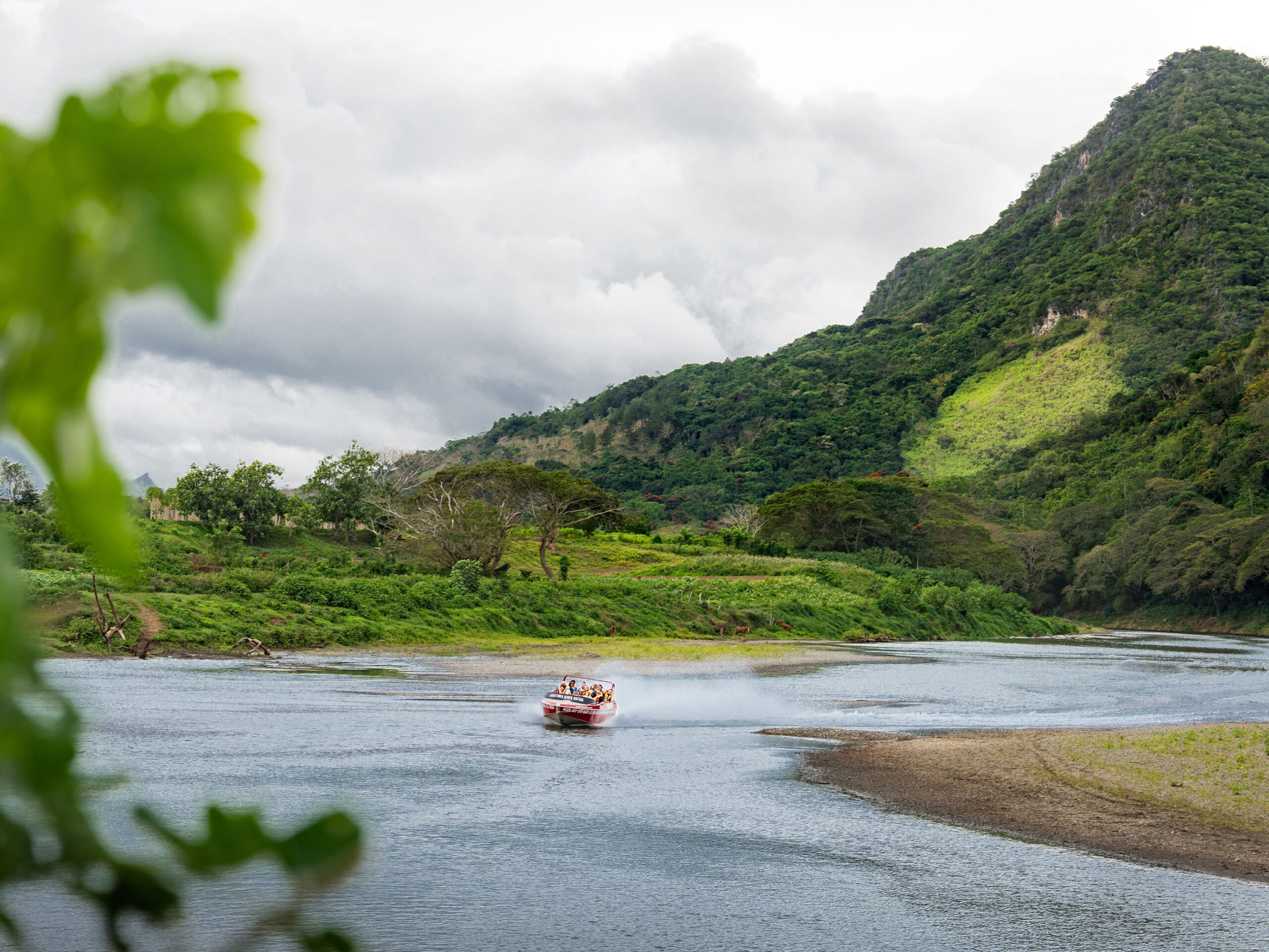 a Sigatoka River Safari jet boat ride